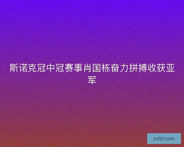 斯诺克冠中冠赛事肖国栋奋力拼搏收获亚军 斯诺克冠中冠赛事肖国栋奋力拼搏收获亚军