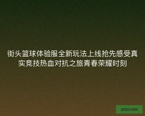 街头篮球体验服全新玩法上线抢先感受真实竞技热血对抗之旅青春荣耀时刻 街头篮球体验服全新玩法上线抢先感受真实竞技热血对抗之旅青春荣耀时刻